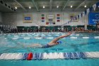 Swim vs Bentley  Wheaton College Swimming & Diving vs Bentley University. - Photo by Keith Nordstrom : Wheaton, Swimming & Diving